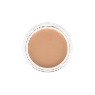 the SAEM Cover Perfection Pot Concealer 6g (Renewal)