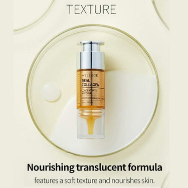 WELLAGE Real Collagen Concentrate Ampoule 15ml