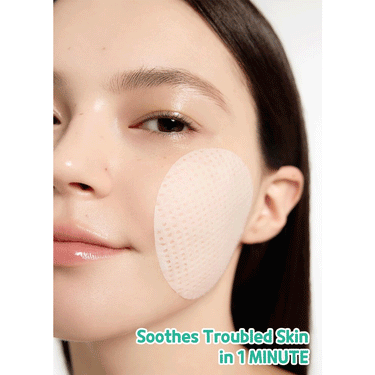 BRING GREEN Tea Tree Cica Trouble Soothing Toner Pad 90 pads