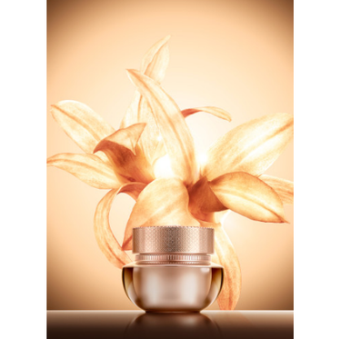THE WHOO Cheonyuldan Hwayul Mask 70ml