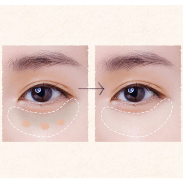 SKINFOOD Salmon Dark Circle Concealer Cream 10g - 2 Colors