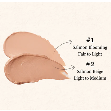 SKINFOOD Salmon Dark Circle Concealer Cream 10g - 2 Colors