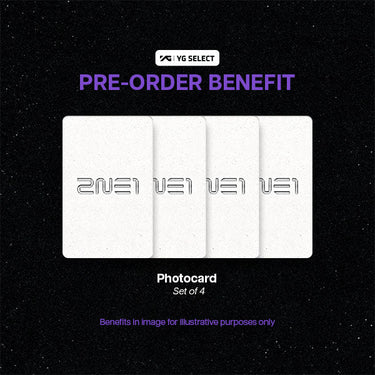 2NE1 - 15th Anniversary Best [LP Ver.]