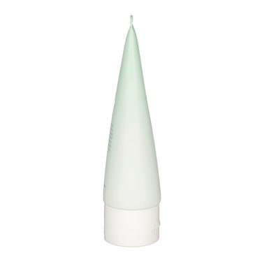 Beauty of Joseon Green Plum Refreshing Cleanser 100ml