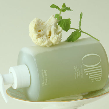 anillO Patchouli Garden Damage Repair Shampoo 450ml