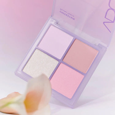 VDL Cheek Stain Blusher Palette 2 colors