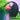 Hwa Sa - Guilty Pleasure [2nd Single Album]