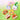 NCT DREAM - Dreamiez Face Pouch
