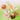 NCT DREAM - Dreamiez Plush Hair Scrunchie
