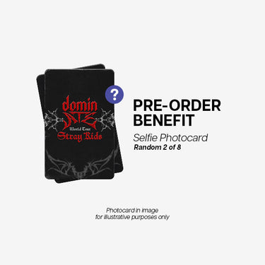 Stray Kids - T-Shirt ['dominATE SEOUL' World Tour Official MD]